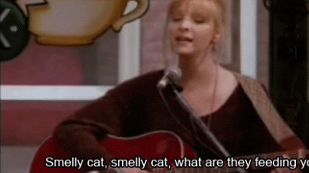 Att Phoebe är ett geni vad gäller låtskriveri 